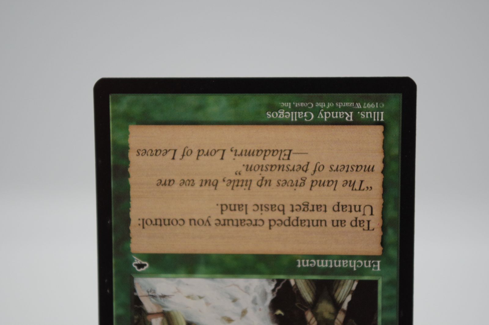 MTG TMP Earthcraft 大地の知識 英語版
