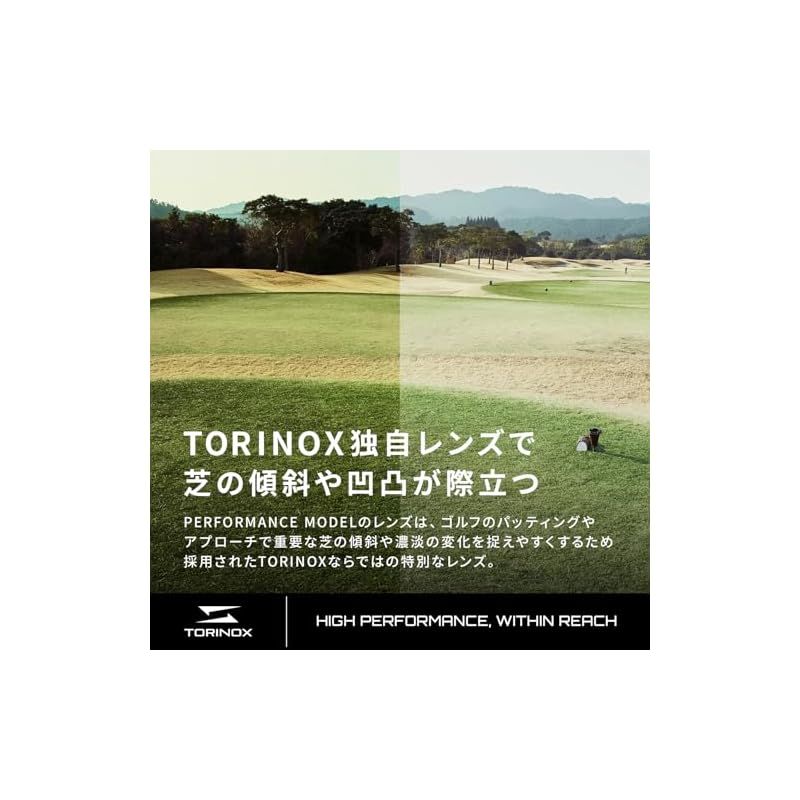 TORINOX サングラス ゴルフ ARQ PERFORMANCE MODEL MATT PURPLE BLACK