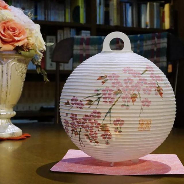 【ライト・照明】レターセット提灯 桜 | 岐阜提灯 | オゼキ