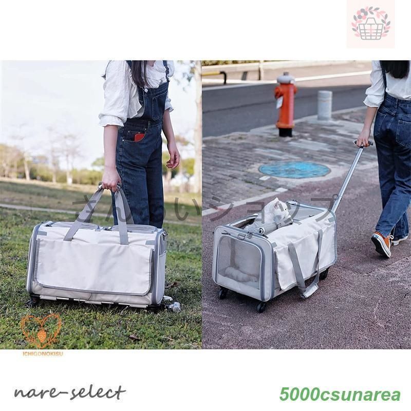 猫 最適体重16kg