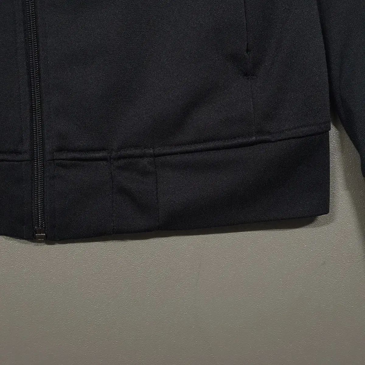 ヨーロッパ ファイヤーバード