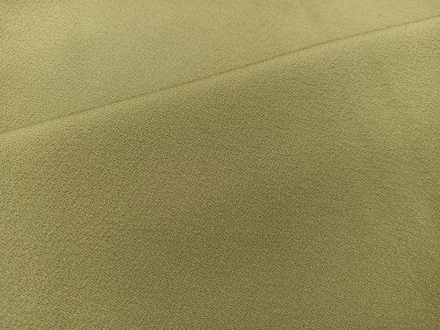 平和屋着物□上質な色無地 紗綾形地紋 杏色 正絹 逸品 DAAP9787op