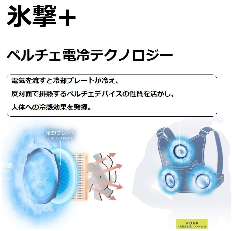 LIDEF 2025年モデル