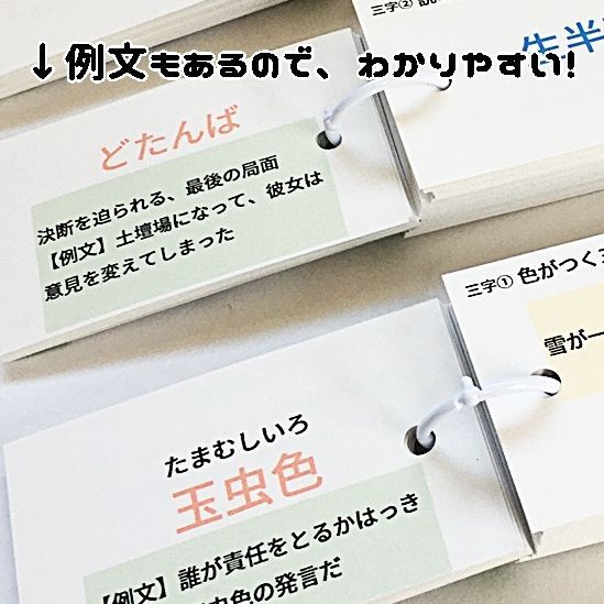 ○【090】中学受験国語 三字熟語の暗記カード 中学入試 サピックス