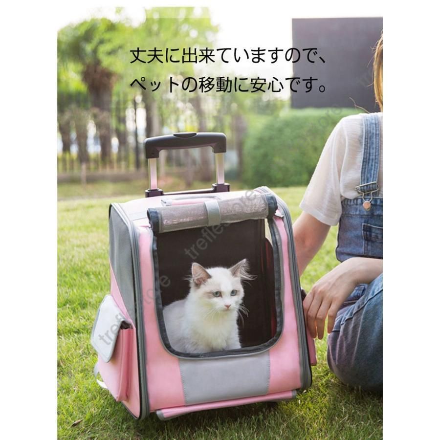 お散歩 トランク