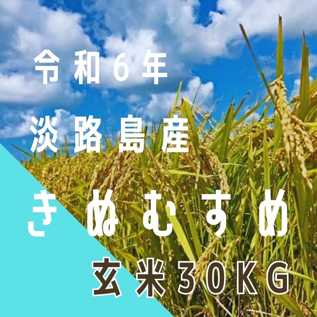 令和6年産 きぬむすめ 玄米30キロ 淡路島産 産地直送 - メルカリ