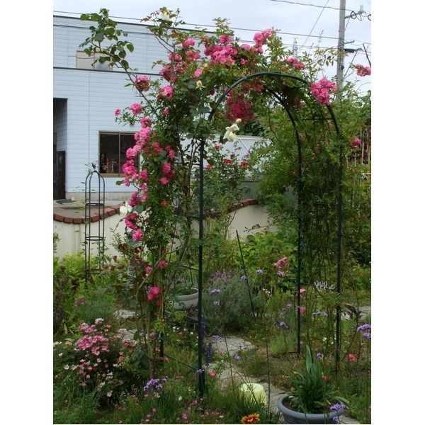 フラワーアーチ|ガーデニング用品 幅120cm スチールパイプ製 日本製 普及型 〔園芸 庭 花 エクステリア〕