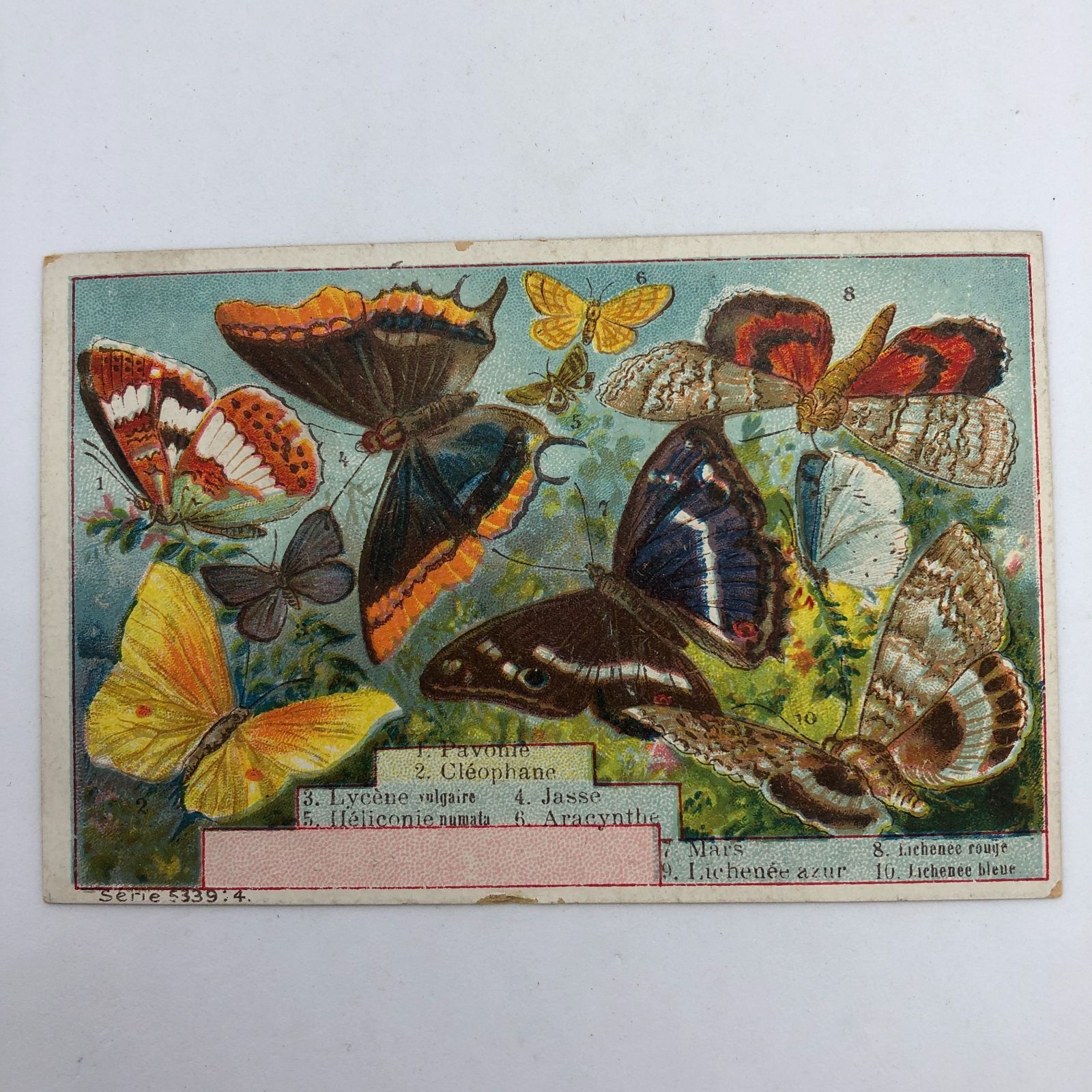 3枚セット! まとめ 】クロモカード フランス アンティーク ※シャンク