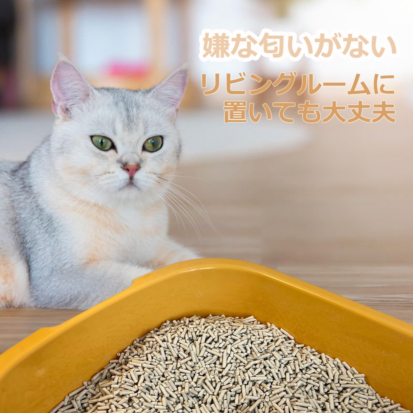 おからの猫砂