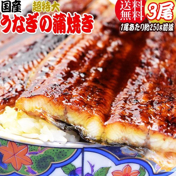 うなぎ蒲焼き約250g前後×3尾 うなぎ 蒲焼き【国産 国内産】炭火焼うなぎ蒲焼 特大 土用の丑の日 宮崎県産・鹿児島県産 ※蒲焼のタレ付