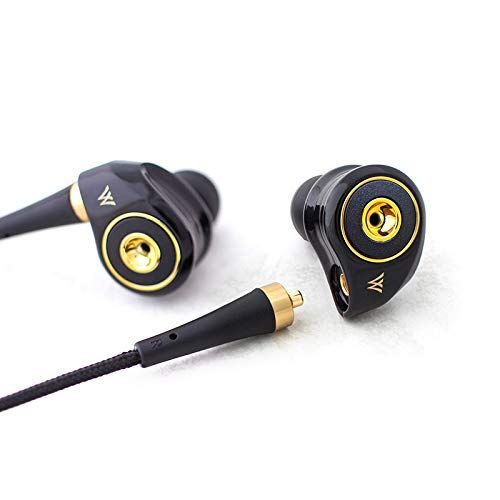 ラディウス radius HP-TWF00 ハイレゾ対応イヤホン ドブルベ アンテリュール Ne ハイレゾ MMCX リケーブル対応 2枚の振動板 DDM方式ドライバー 有線 カナル型 HP-TWF00K ノワール