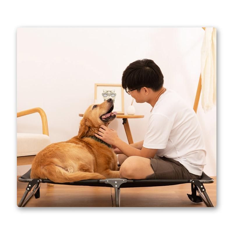 犬用 ベッド