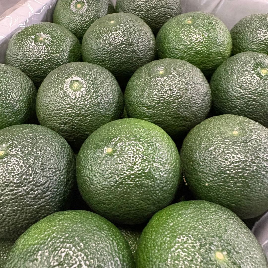 徳島県産】すだち 1kg 秀品 2L-4Lサイズ - メルカリ