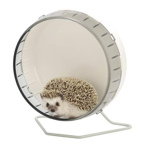 Sanko [三晃商会]デグー・シマリス・ハリネズミ等の小動物にサイレントホイールフラット25