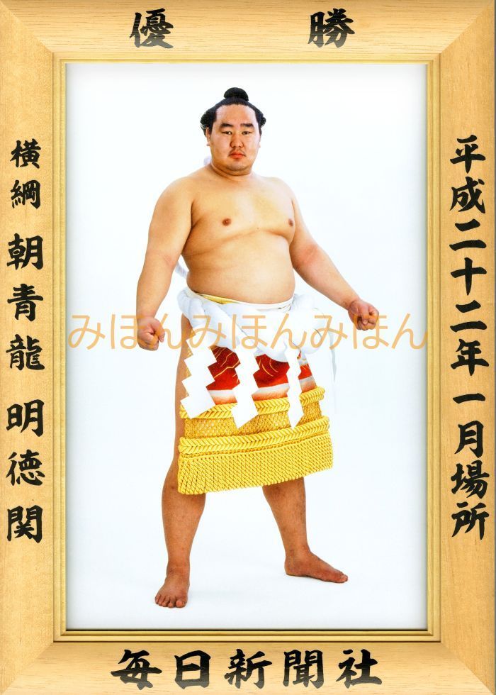 大相撲大全集 昭和の名力士 DVD 10枚セット Amazon.co.jp: 大相撲大