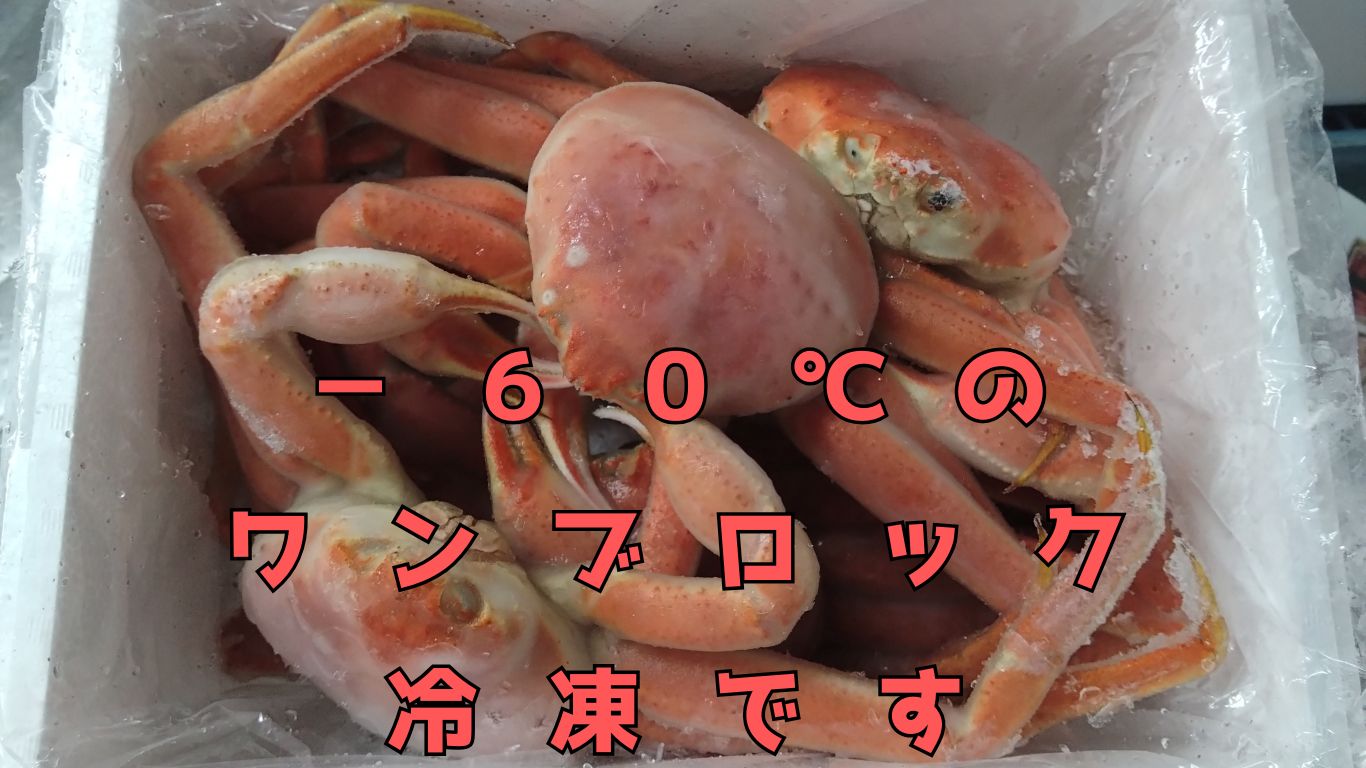 オオズワイガニ