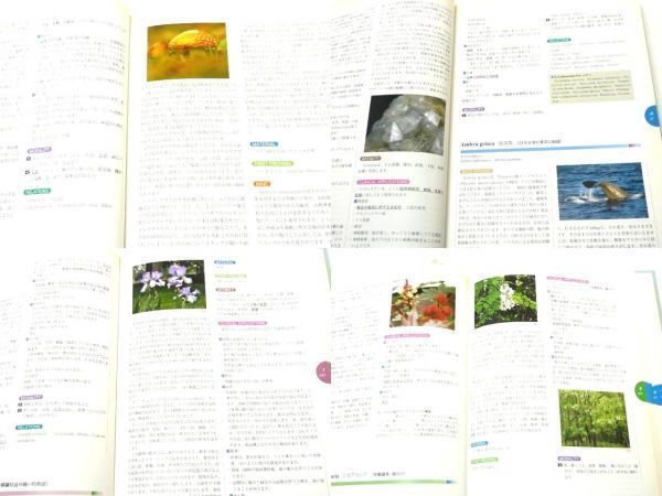 臨床家のためのホメオパシー マテリアメディカ 森井 啓二 エンタ