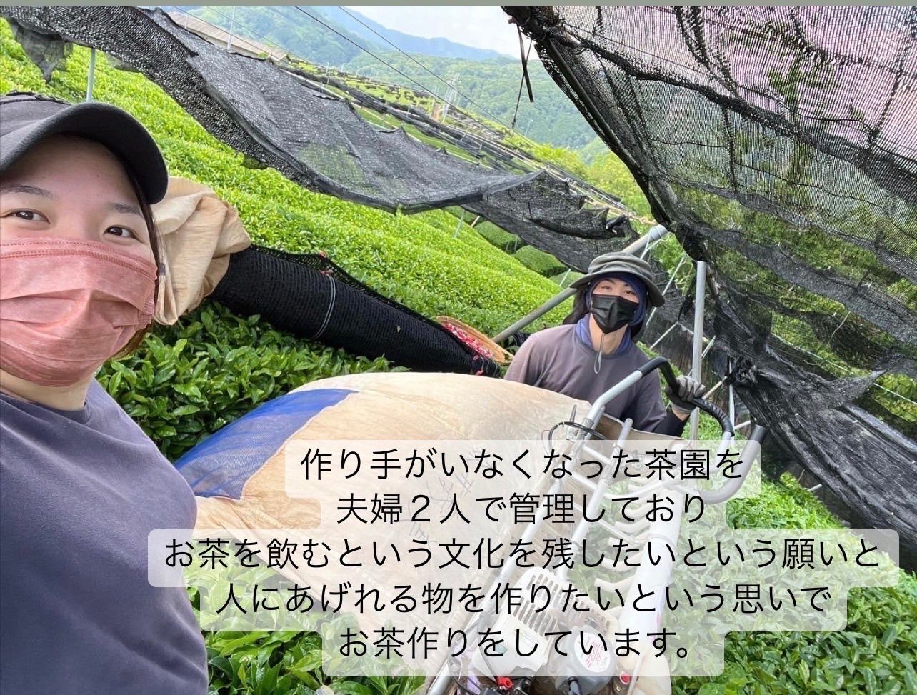 華やかな香りと上品な苦味♪】さっと溶かすだけ簡単♪宇治抹茶