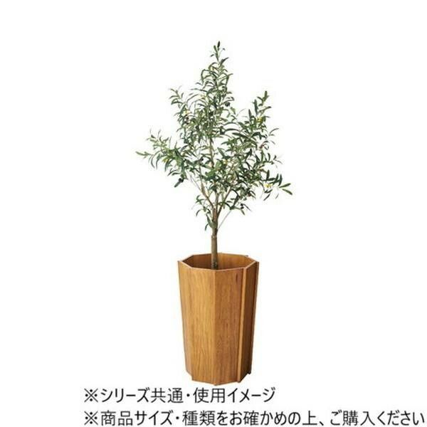 ブラウン GUY-824