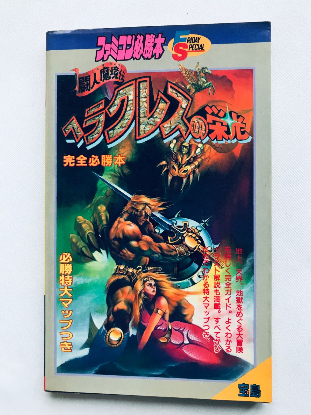 脊髄病理学 橋詰良夫 吉田眞理 脊髄病理学 [単行本（ソフトカバー）] 橋詰 良夫; 吉田 眞理