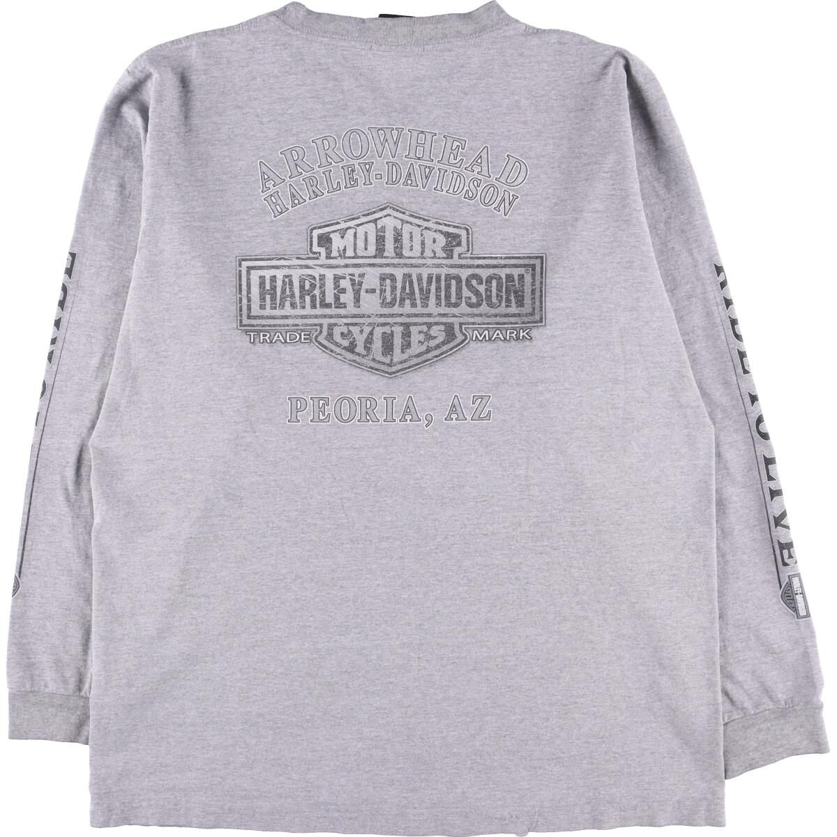 00's HARLEY-DAVISON ''THUNDER TOWER'' 両面袖プリント