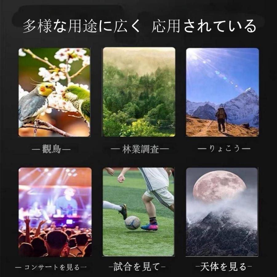 バードウォッチング