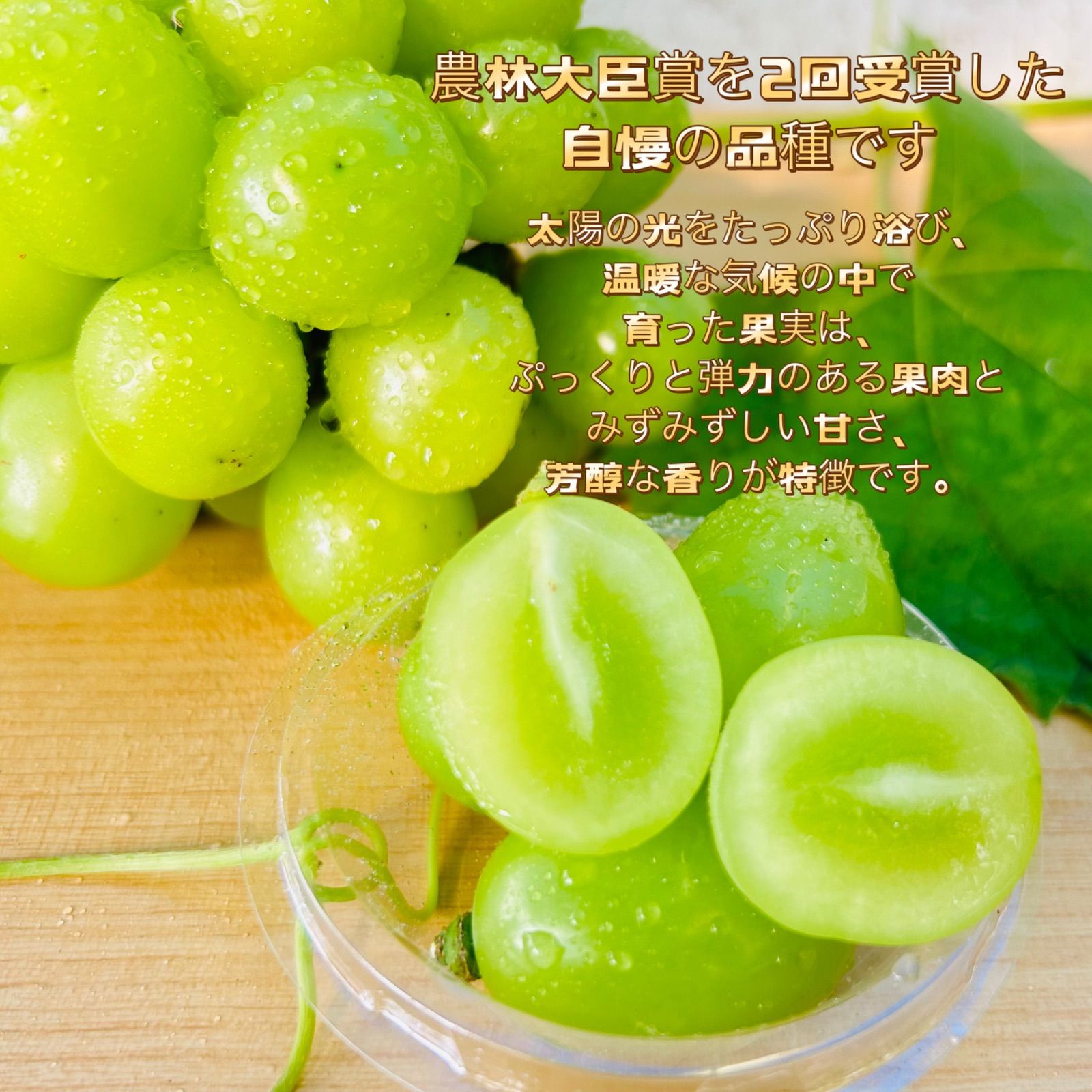 シャインマスカット　粒　1kg シャインマスカット 粒1kg - 果物卸売り