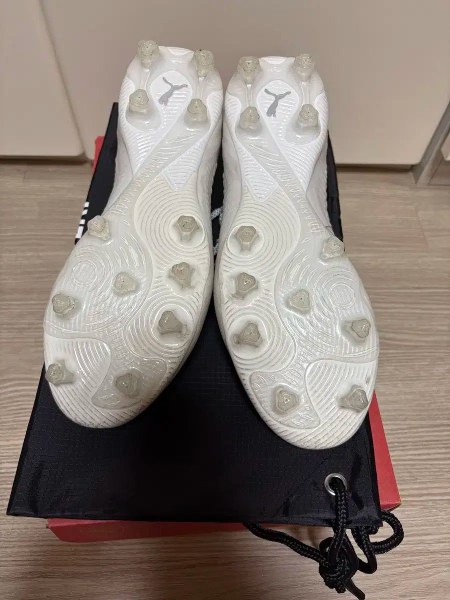 PUMA プーマ フューチャー 8 究 の AG