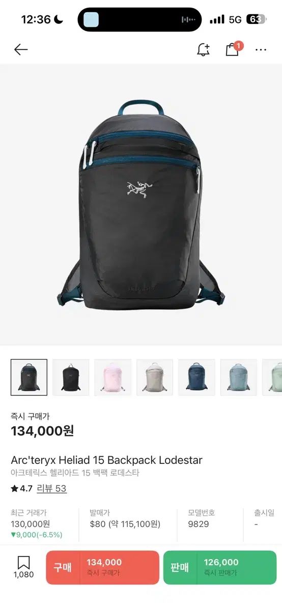 アークテリクス ヒリアド 15 バックパック ロデスタ