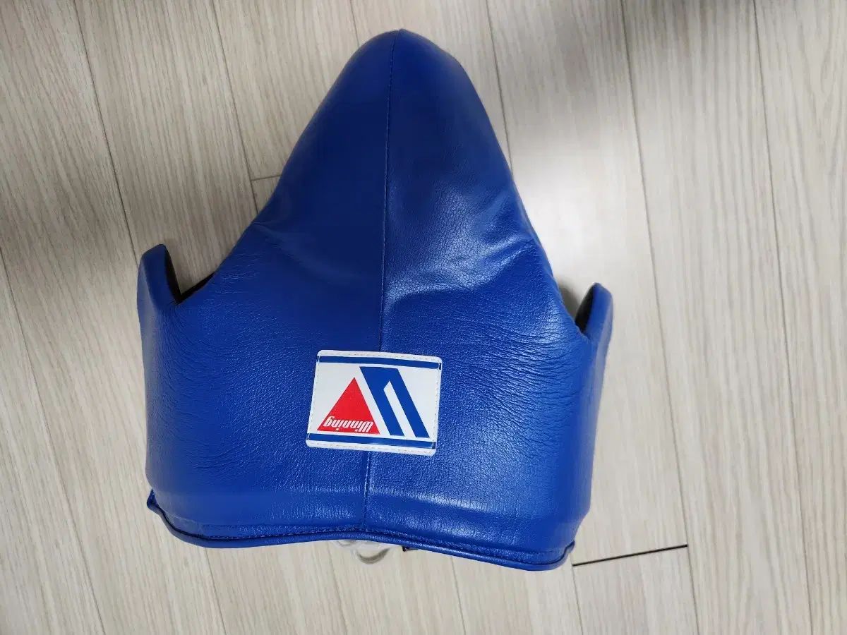 ウイニング ヘッドギア FG-2900 Mサイズ ブルー Winning ヘッドギア フルフェイスタイプ ブルー M FG-2900 ウイニング