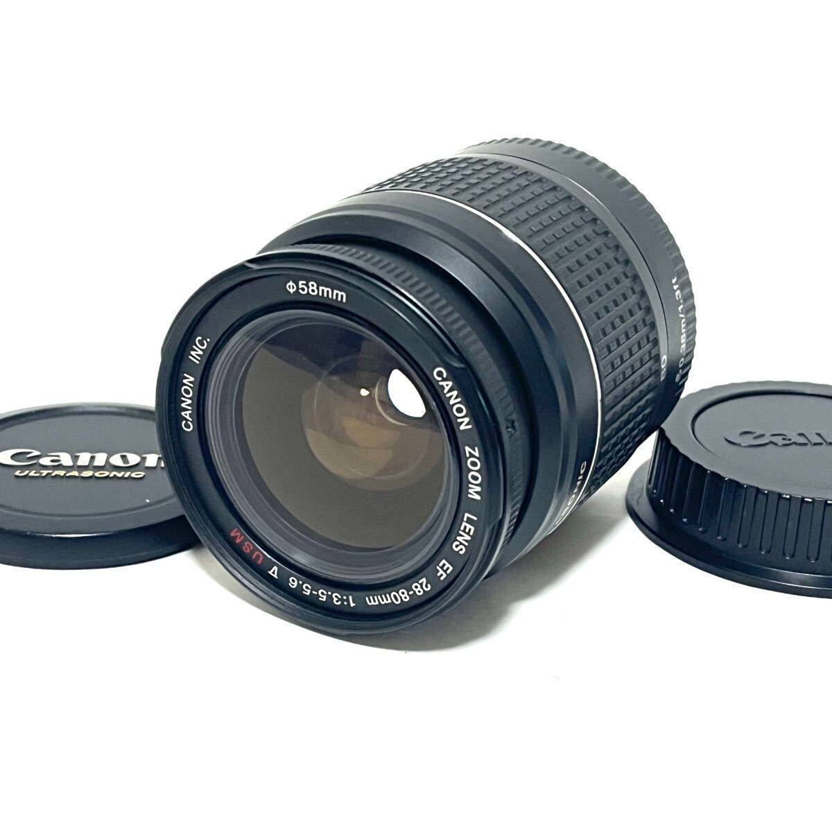 入手困難 co+fe cofe コフェ オクトゴナル 八角 ハグオーワー 2024