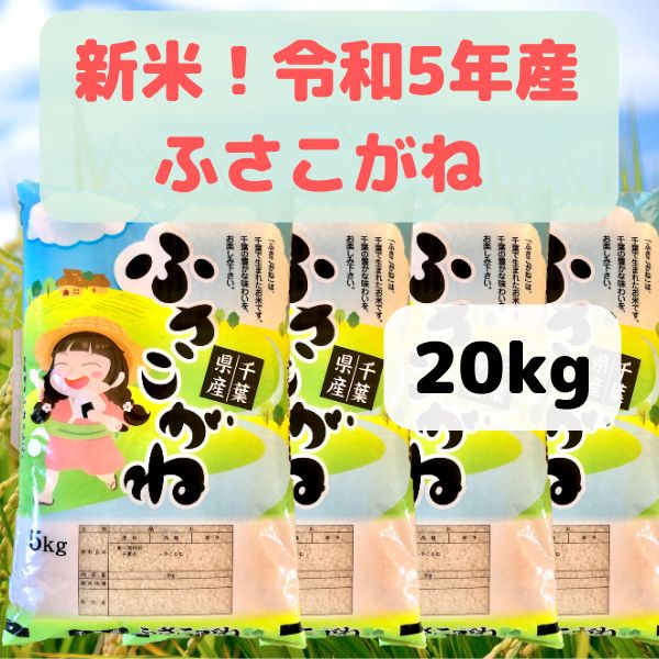 特売中！ 20kg 令和5年産 新米 ふさこがね 千葉県の美味しい減農薬米