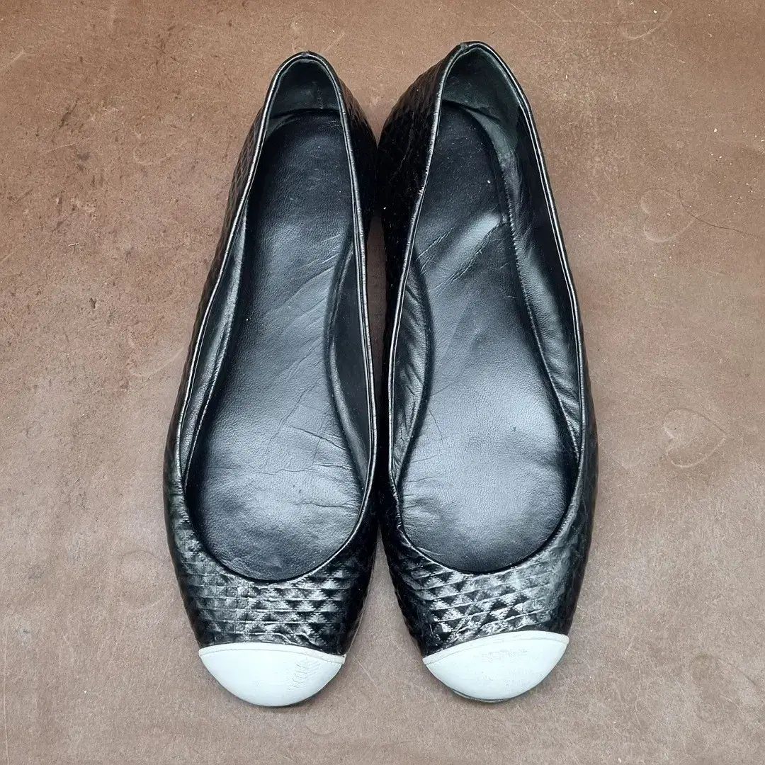 Zanotti ジュゼッペ