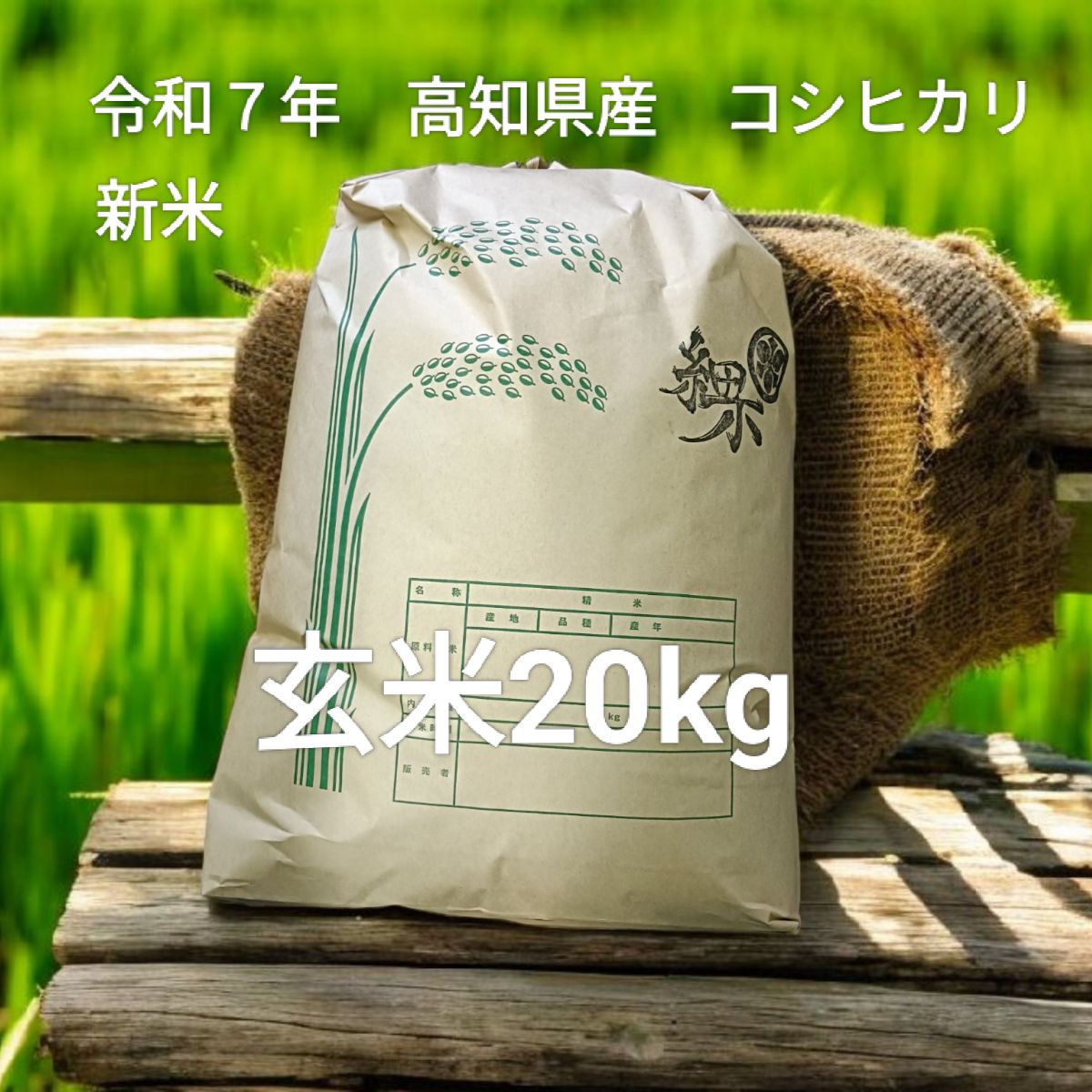 新米 令和７年 高知県産 コシヒカリ 玄米20kg