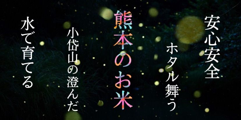 一番の ホタル舞う熊本産お米25kg 米 www.win-ed.com.bd