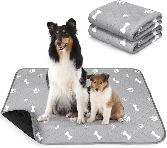 新品 高級 アルプス マウンテンニアリング テント 6人用 キャンプ