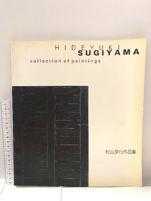 杉山英行 作品集 ギャラリー白 1994