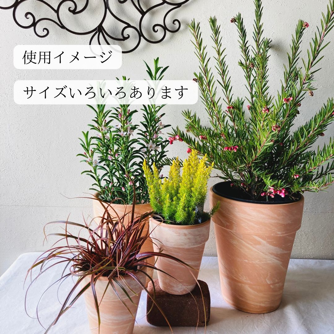 テラコッタ鉢 ドイツ製 スパング社 植木鉢 - メルカリ