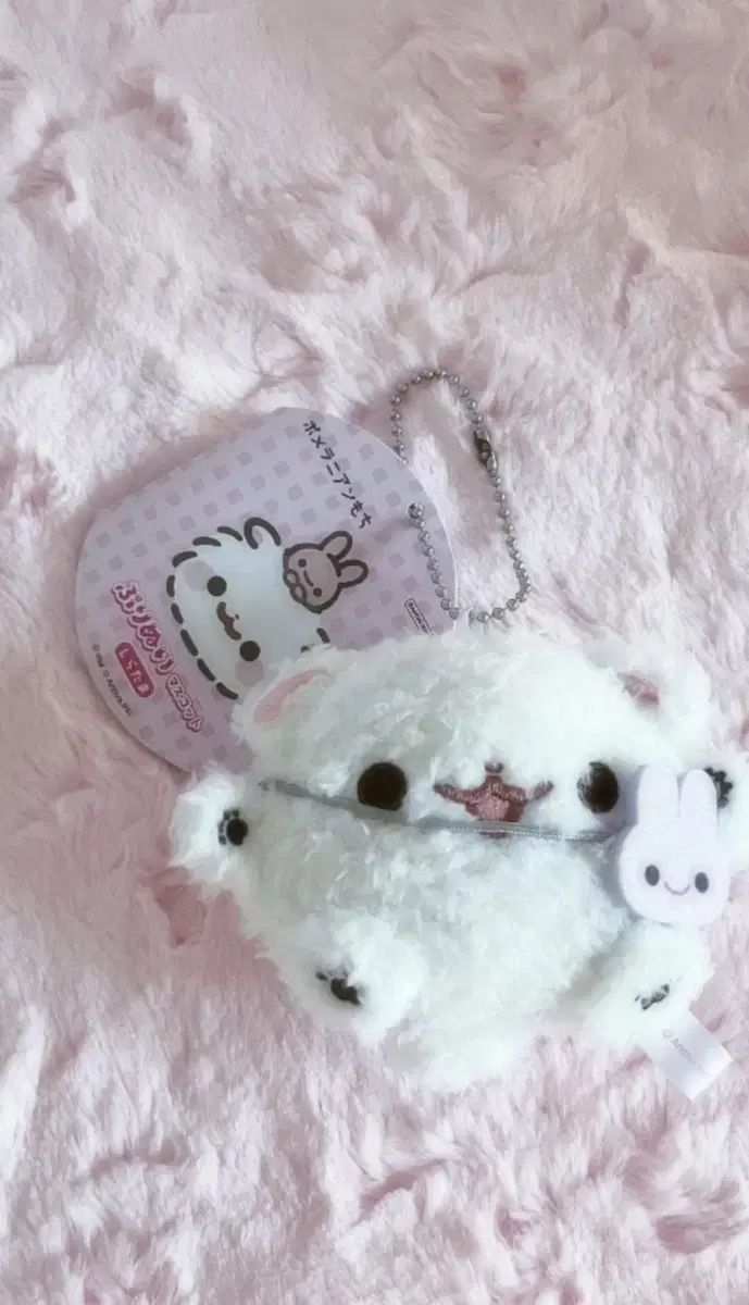 ポメラニアンモチ キーリング