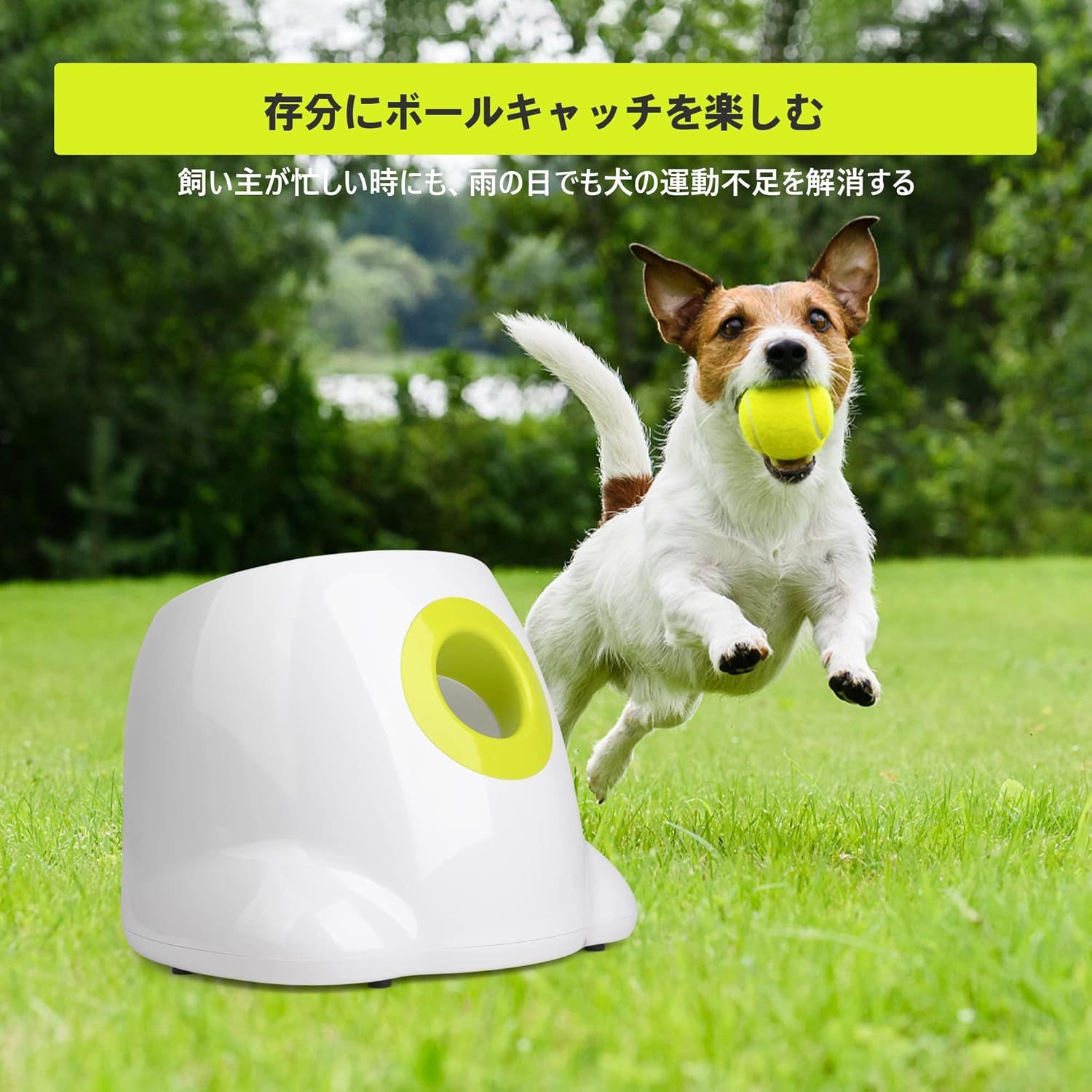 犬用 ロボピッチャ