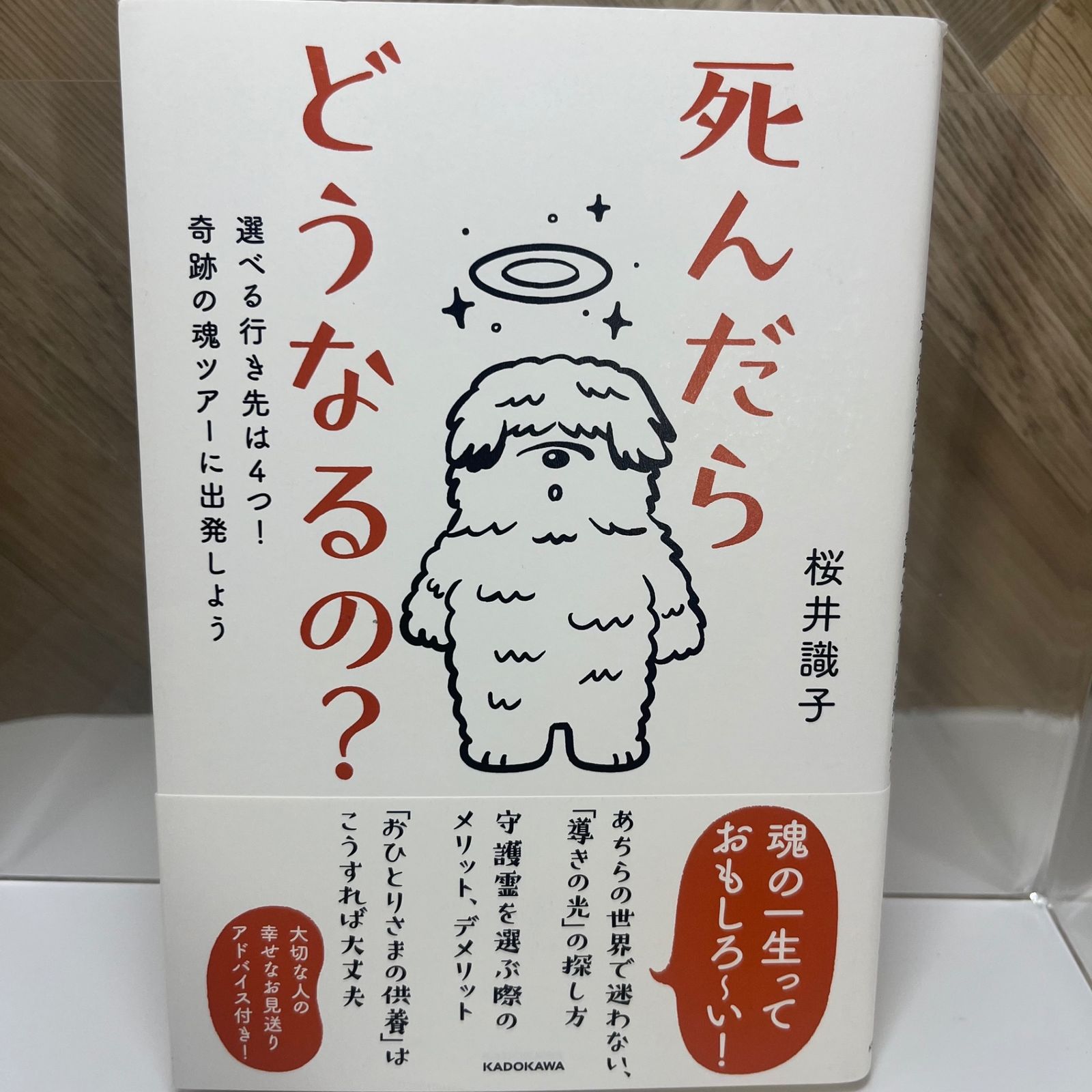 死んだらどうなるの? 選べる行き先は4つ!奇跡の魂ツアーに出発しよう - メルカリ