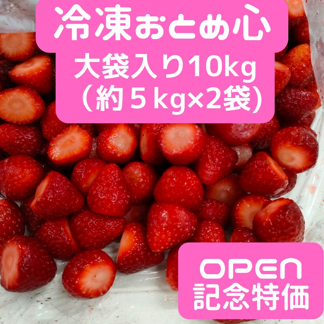 【大容量10kg】山形の苺おとめ心冷凍いちご5キロ×２袋(合計10kg)訳ありファミリー加工用業務用向け