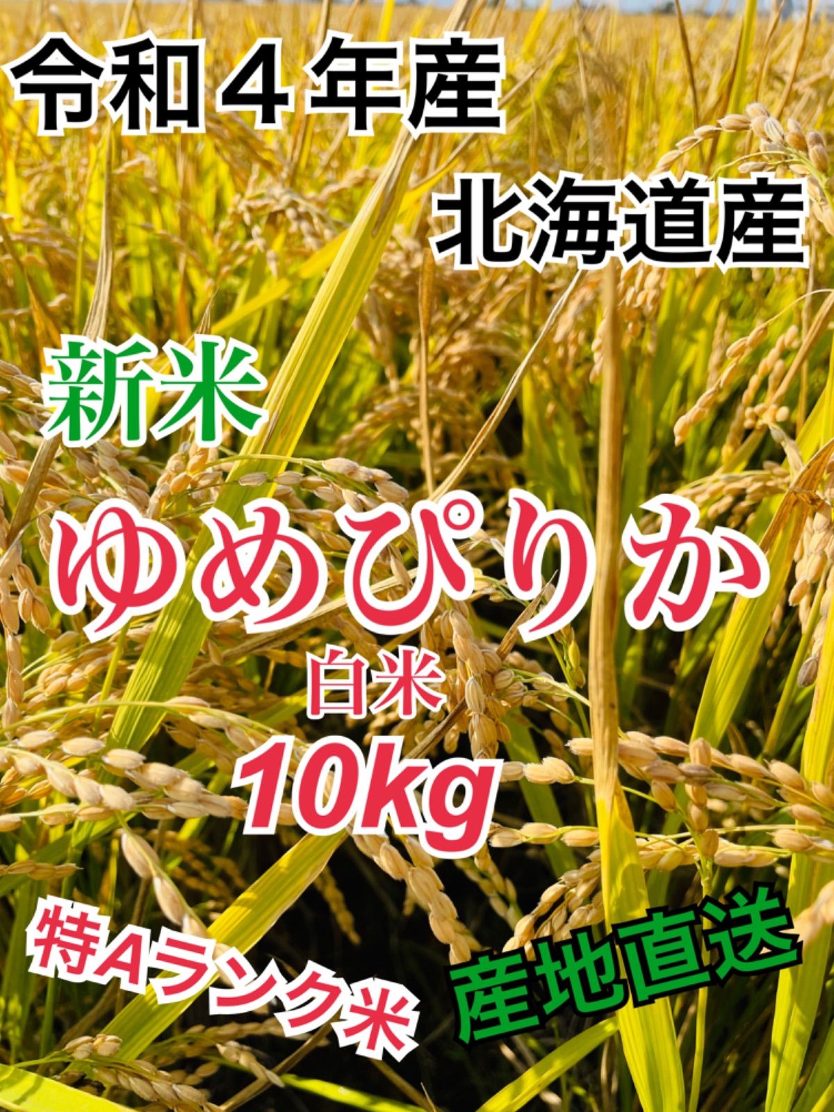 令和4年産　北海道米  おぼろづき 10キロ　一等米　農園直送