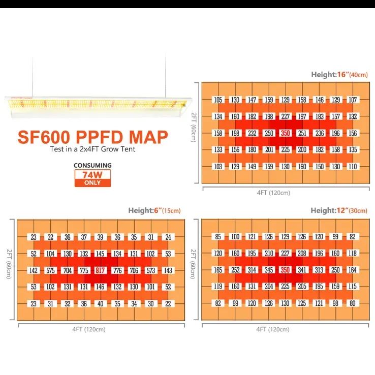 Spider Farmer SF-600 多肉 育苗 ハーブ 植物育成LED