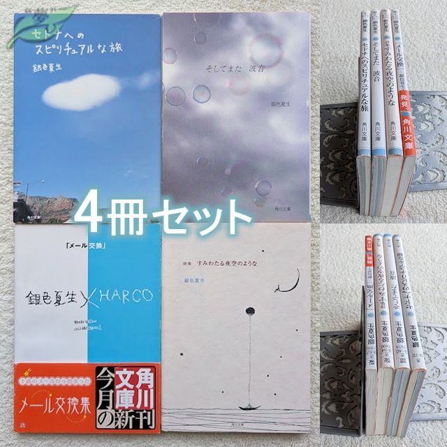 銀色夏生 文庫 セドナへのスピリチュアルな旅 そしてまた 波音