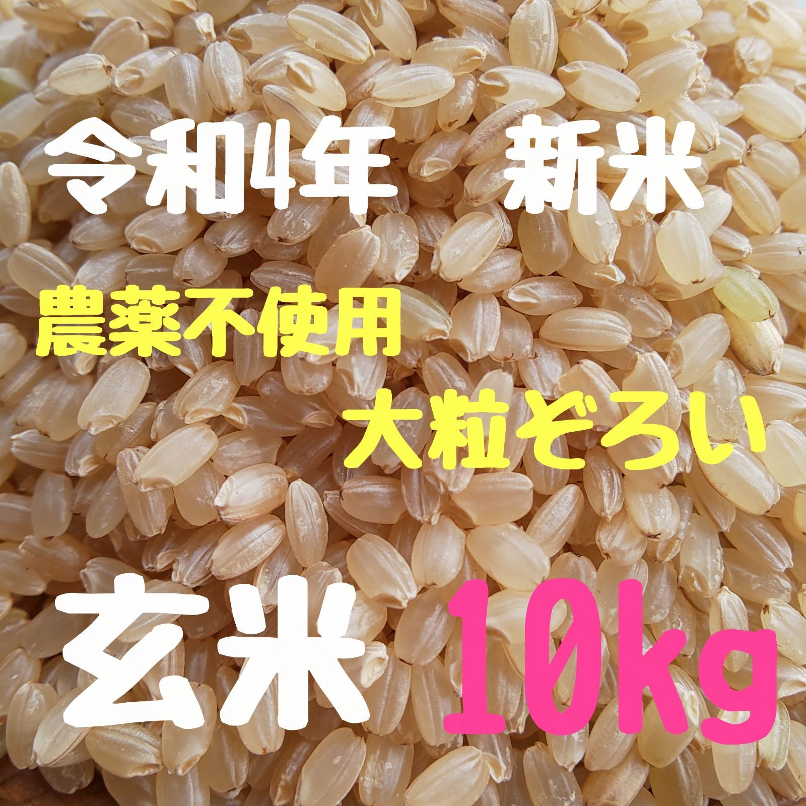 令和5年新米 京都玄米 ヒノヒカリ 農薬不使用 有機肥料 10キロ - 米