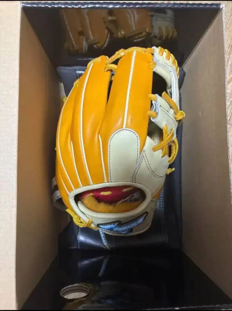 Mizuno ミズノ プロ 野球 グローブ 販売