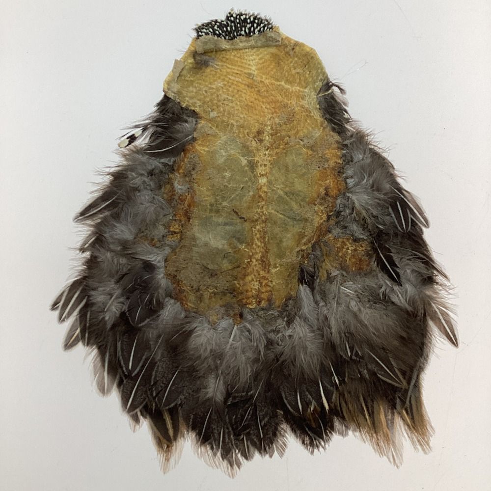 新品　ジャングルコック　フライマテリアル キャナル｜フライマテリアル｜ジャングルコック｜Jungle Cock