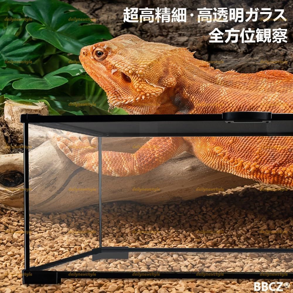 人気推薦 爬虫類 ケージ 爬虫類飼育箱 グラステラリウム 飼育容器 両生類ボックス ガラス丨金属通気メッシュ丨水陸両用丨脱走防止丨給餌が簡単 組立不要 積み重ね 30 20 15cm WWW_GEBZETESISAT_COM_TR