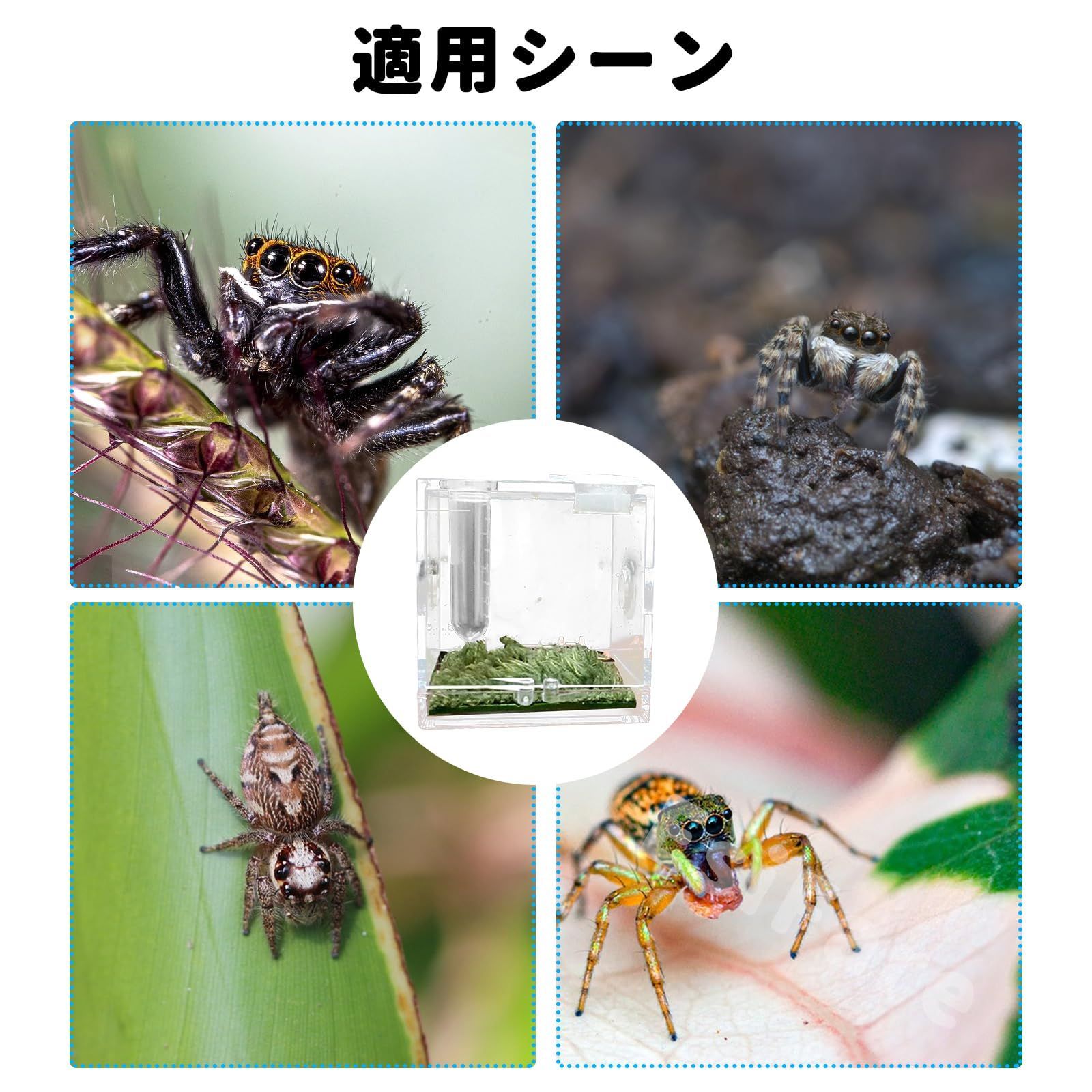 EsiFare ミニ爬虫類 5.2*5.2*5.2cm 蜘蛛 ケージ 飼育ケース 虫籠 EsiFare ミニ爬虫類 5.2*5.2*5.2cm 蜘蛛 ケージ 飼育ケース 虫籠